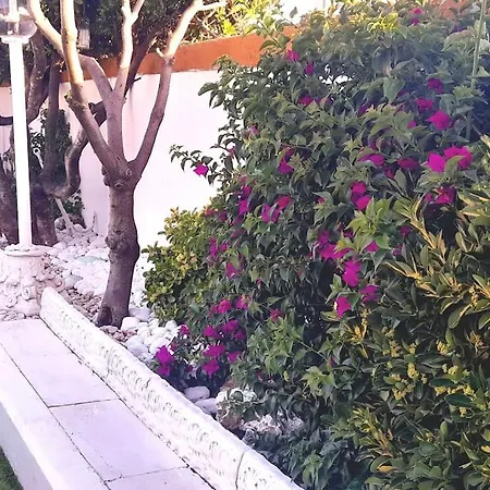 La Rosamare, Discesa Al Mare, Vicinissimo Al Centro, Posto Auto *
